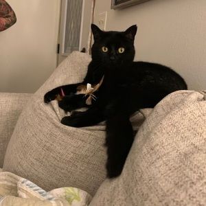 Meet your Posher, Loretta